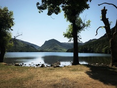 IMG 0064