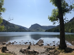 IMG 0065