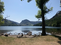IMG 0067