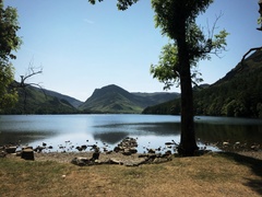 IMG 0068