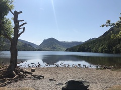 IMG 0069
