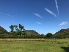 IMG 0075