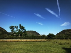 IMG 0076
