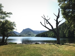 IMG 0078