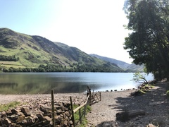 IMG 0082
