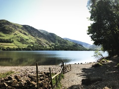 IMG 0083