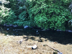 IMG 0059