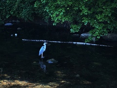 IMG 0061