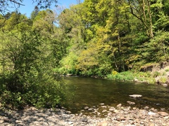 IMG 0038