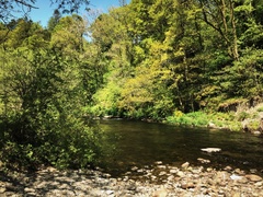 IMG 0039