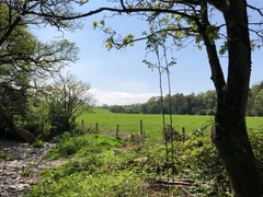 IMG 0040
