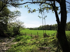 IMG 0041