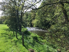 IMG 0042