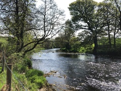 IMG 0045