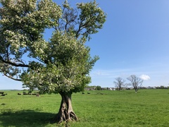 IMG 0048