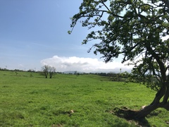 IMG 0049