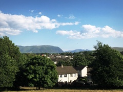 IMG 0193