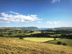 IMG 0195