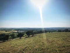 IMG 0196