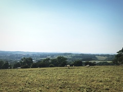 IMG 0197