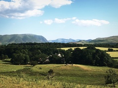 IMG 0199