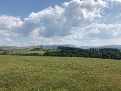 IMG 0202