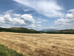 IMG 0204