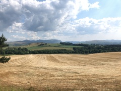 IMG 0209