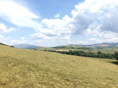 IMG 0211