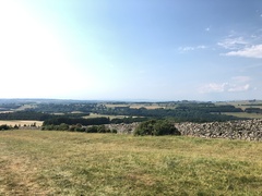 IMG 0213