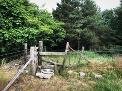 IMG 0222