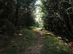 IMG 0230