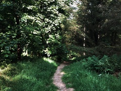 IMG 0233