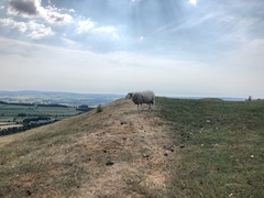 IMG 0251