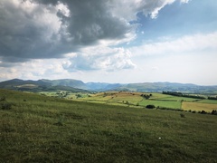 IMG 0254
