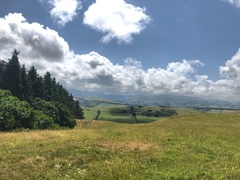 IMG 0373