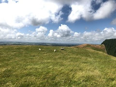 IMG 0376