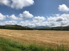 IMG 0264
