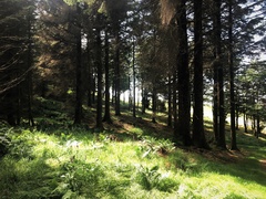 IMG 0277