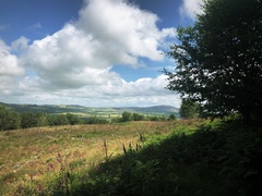 IMG 0291