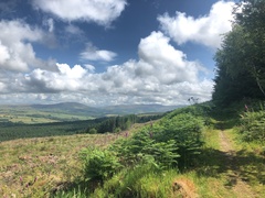 IMG 0298