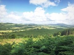 IMG 0303
