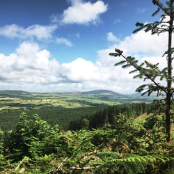Setmurthy Forest, June 19th