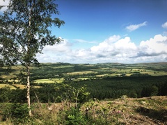 IMG 0315