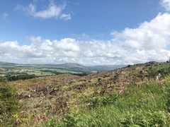 IMG 0324