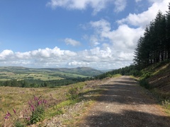 IMG 0340