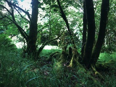 IMG 0364