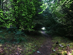 IMG 0367