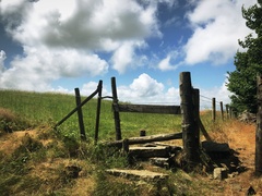 IMG 0372
