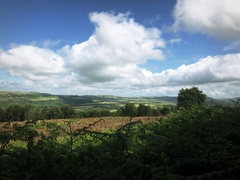 IMG 0293